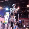 102_4264 102_4264