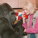koko_aol_chat_1998