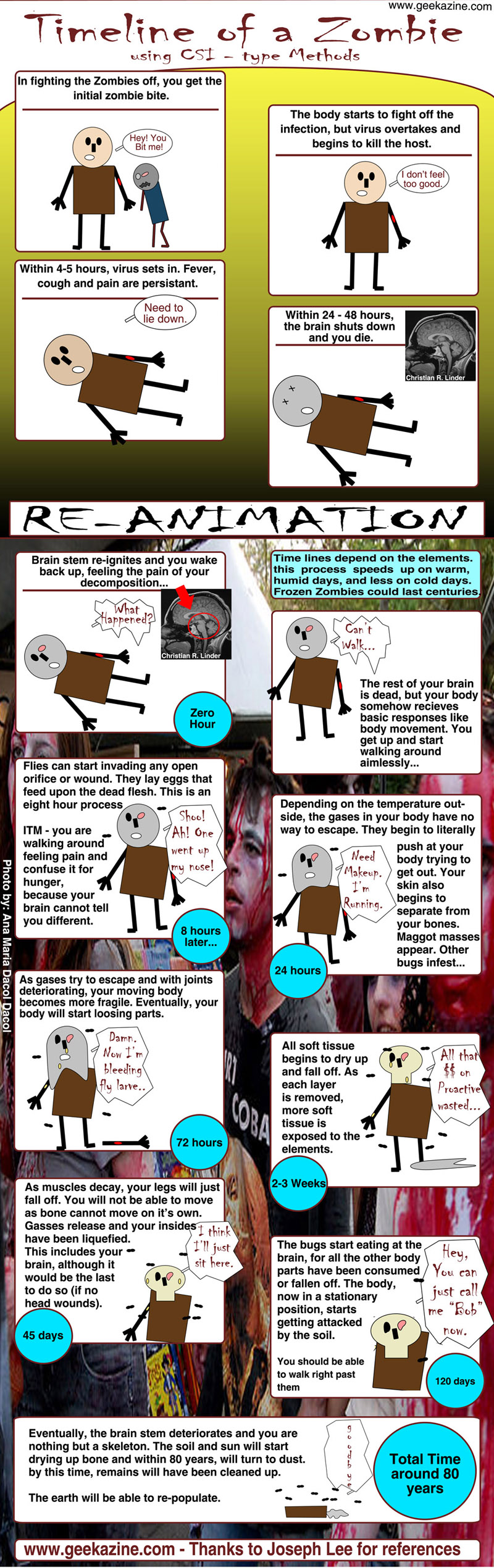How Long Can Zombies Survive the Apocolypse (A CSI Approach) [Infographic] Geekazine